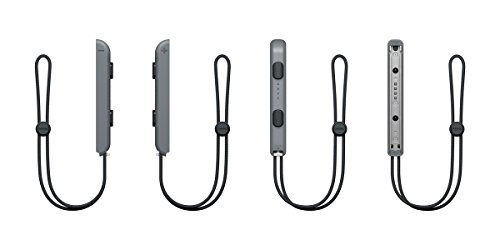 Nintendo Switch Joy-Con Strap Neon Gray Color | eBay